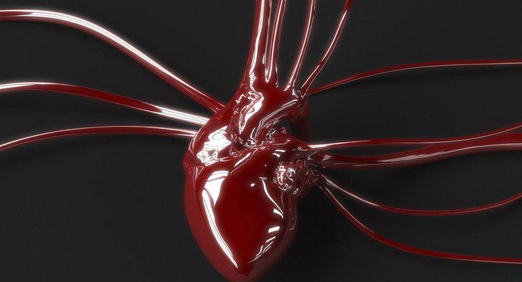 Care este diferența dintre sângele arterial și venos?