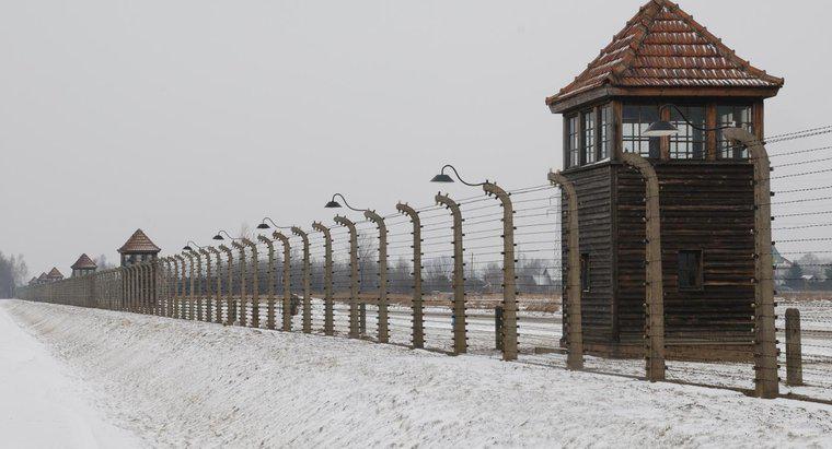 Care sunt unele evenimente care au condus la Holocaust?