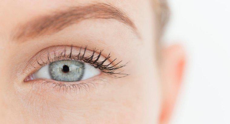 Ce este denumirea părții albe a ochiului?