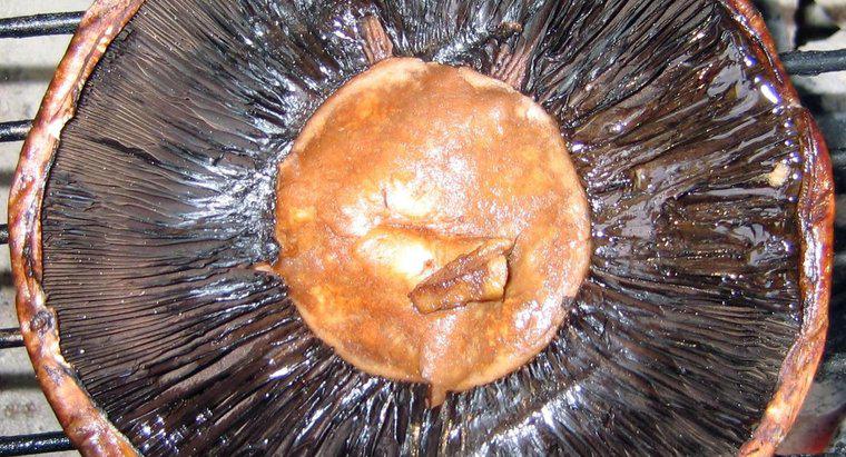 Bucătarii elimină branhii unei ciuperci Portobello?