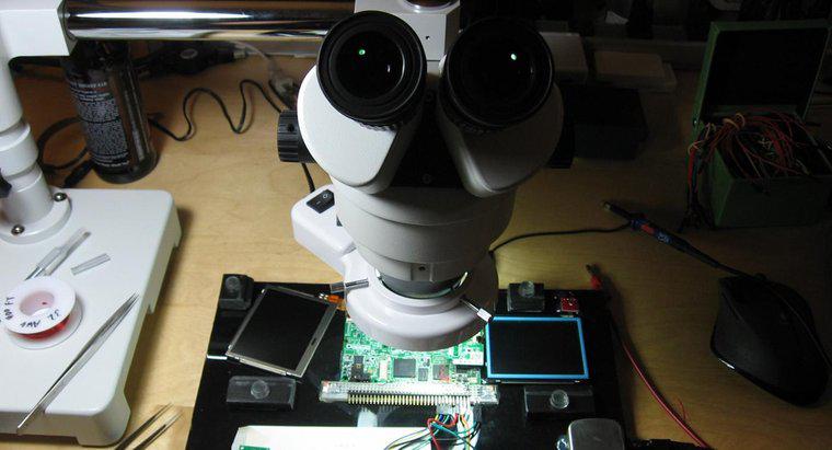 Care sunt părțile și funcțiile unui microscop binocular?