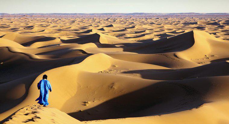Care sunt ocupațiile celor care trăiesc în deșertul din Sahara?