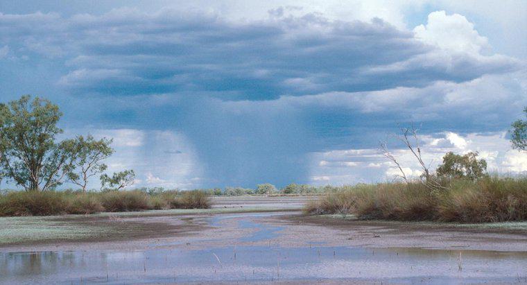 Ce este o cantitate medie de precipitații în zonele umede?