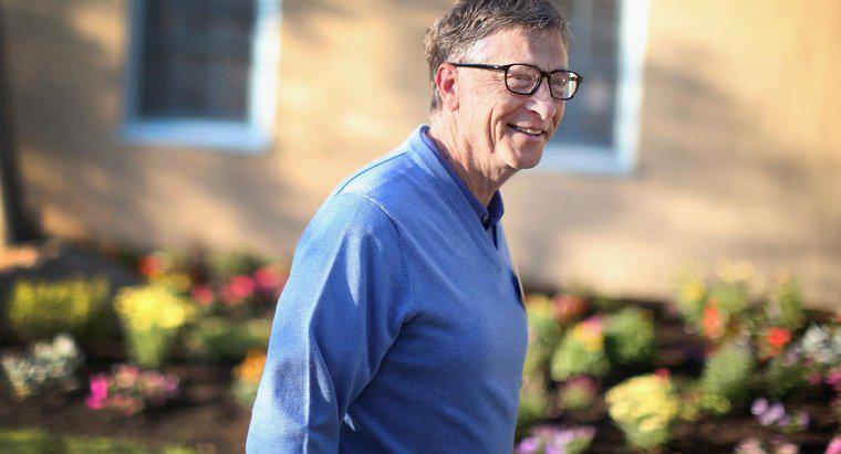Ce a creat Bill Gates?