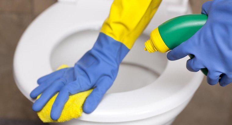Care sunt ingredientele principale în programul Cleaner pentru toalete de toaletă?