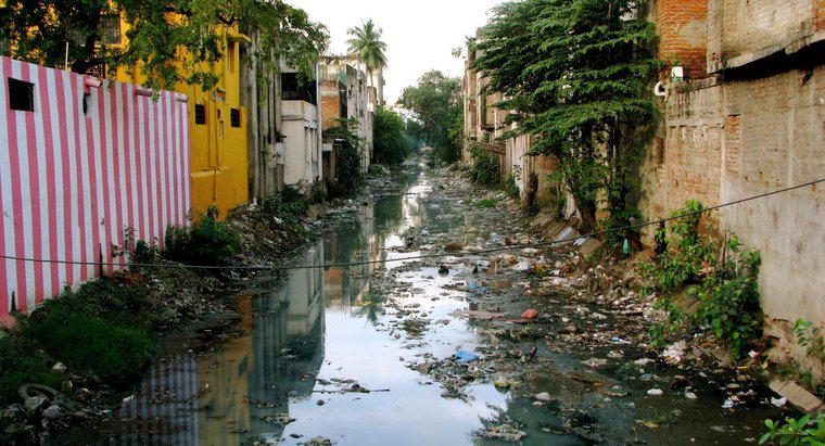 Care sunt cauzele de degradare a mediului în India?