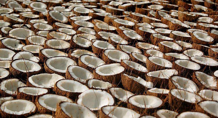 Care sunt beneficiile pentru sănătate și utilizările de ulei de nucă de cocos?