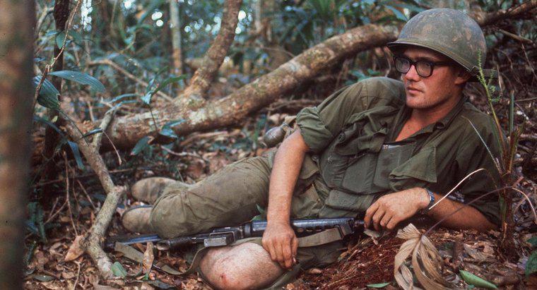Care au fost consecințele războiului din Vietnam?