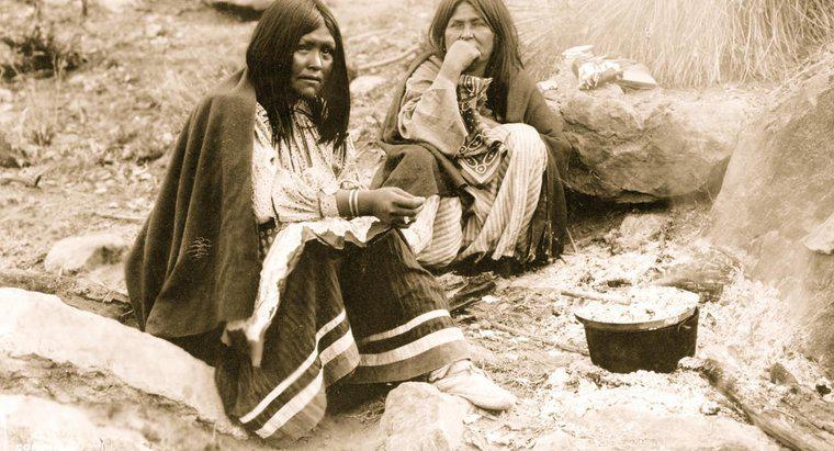 Unde locuiau indienii Apache?