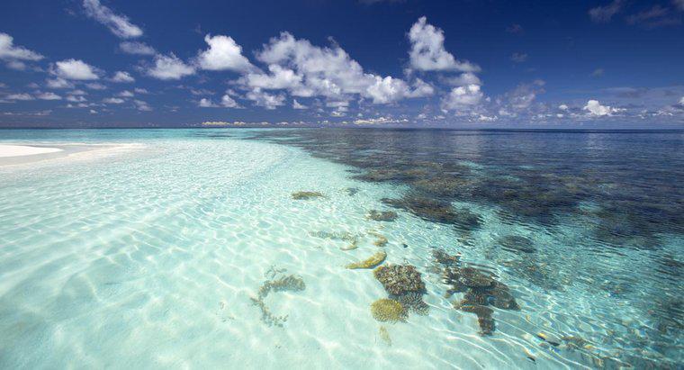 Care este cel mai cald ocean din lume?