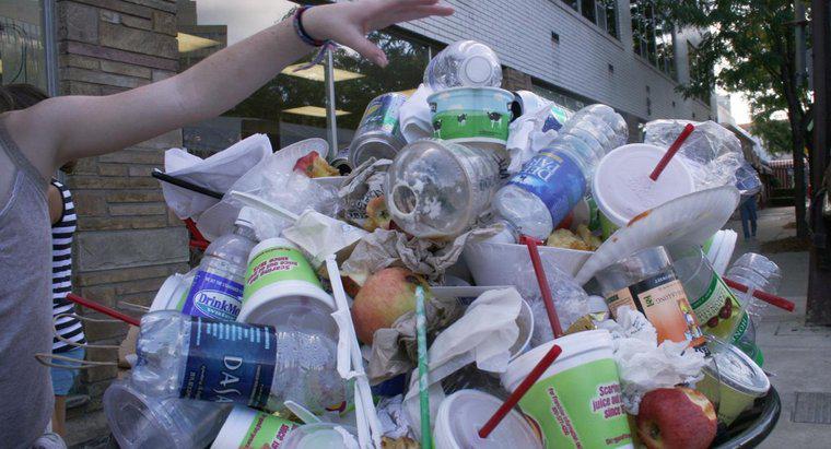 Câte sticle de plastic sunt aruncate în fiecare an?