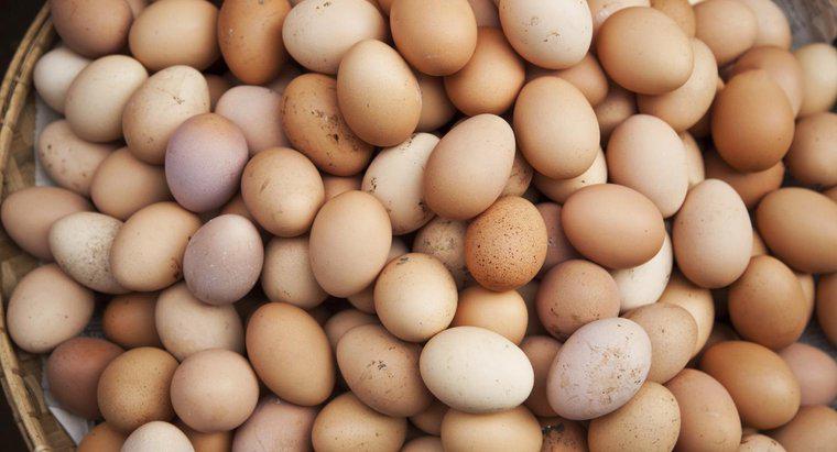 Sunt ouale considerate produse lactate sau păsări de curte?