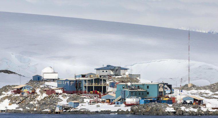 Ce fel de case există în Antarctica?