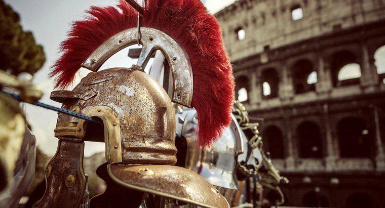Ce animale au luptat Gladiatorii?