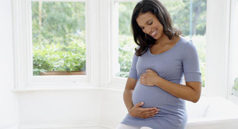 Cum influențează sarcina o temperatură corporală bazală a unei femei?
