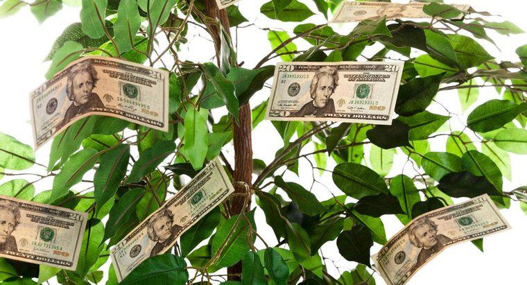 Cum dai un copac de bani ca un cadou?