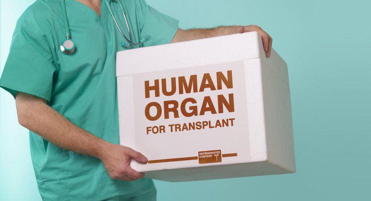 Care sunt avantajele și dezavantajele transplanturilor de organe?