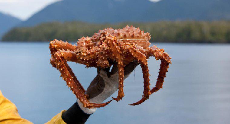 Cât timp este sezonul de crab din Alaska?