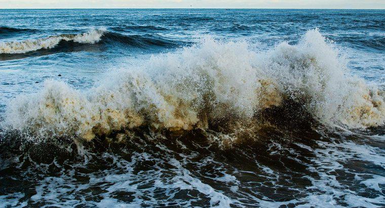 Cum valurile transportă energie de la un loc la altul?