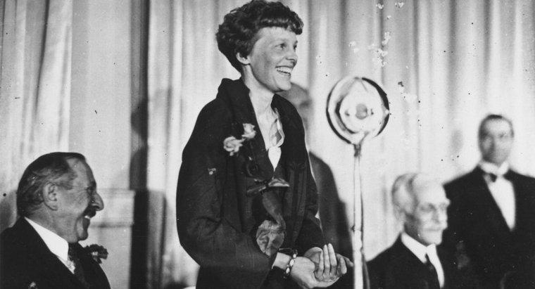 Amelia Earhart a avut vreun frați sau surori?