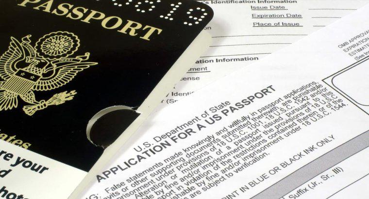 Ce întrebări sunt adresate unei cereri de pașapoarte?