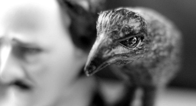 Care sunt unele aluzii prezente în "The Raven" de Edgar Allen Poe?