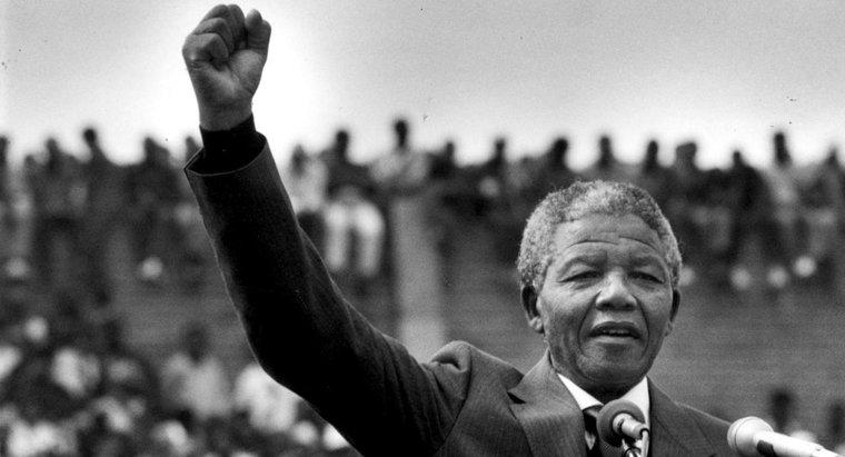 Pentru ce a luptat Nelson Mandela?