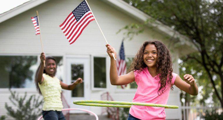 Care sunt unele fapte pentru copii Despre steagul american?