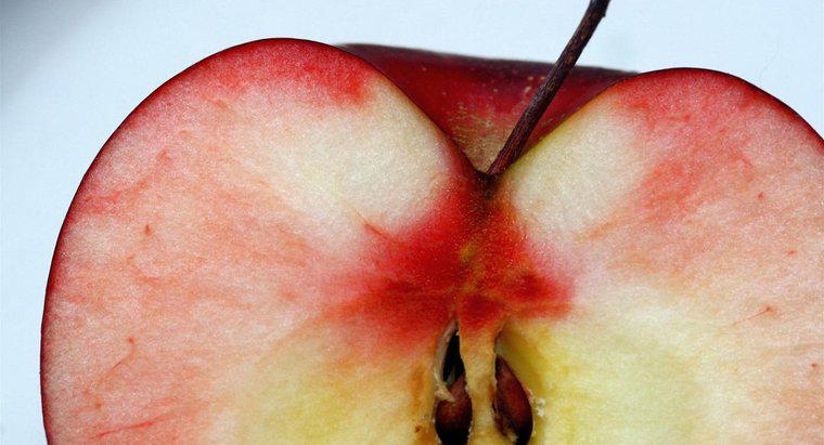Cum sunt dispersate semințele de mere?