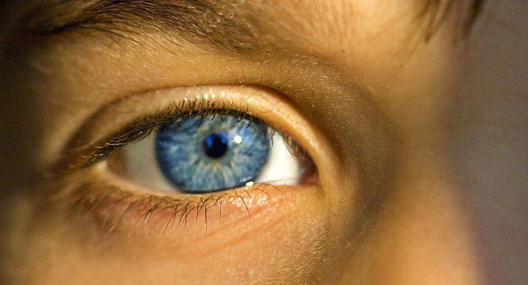 vizibilitate în ochi logopedie afectarea vederii