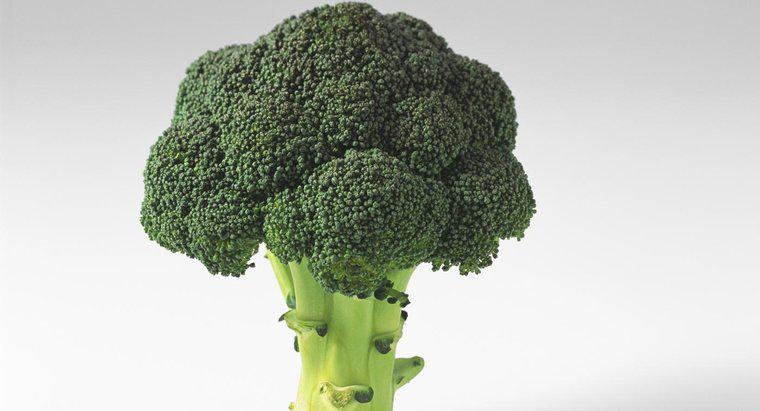 Ce fac Broccoli pentru corpul tau?