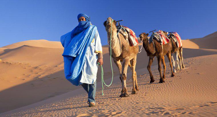 Ce țări acoperă deșertul Sahara?