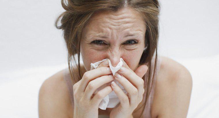 Ce agent patogen cauzează gripa?