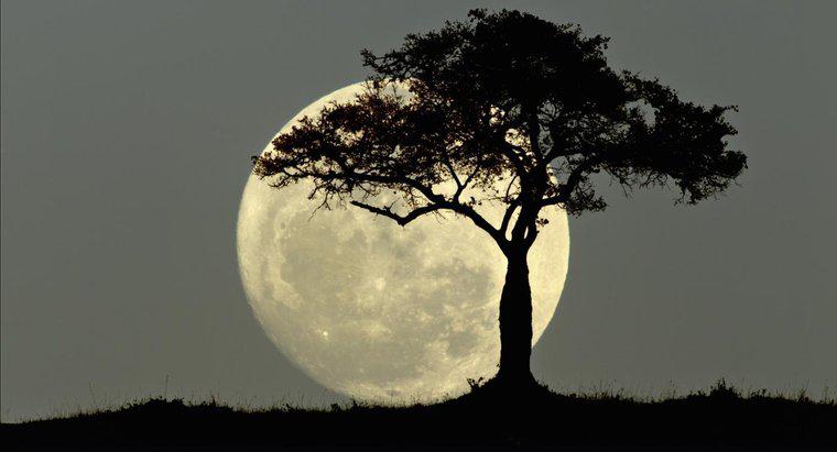 Ce simbolizează luna plină?