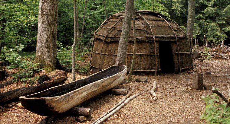 Unde a trăit Iroquoisul?
