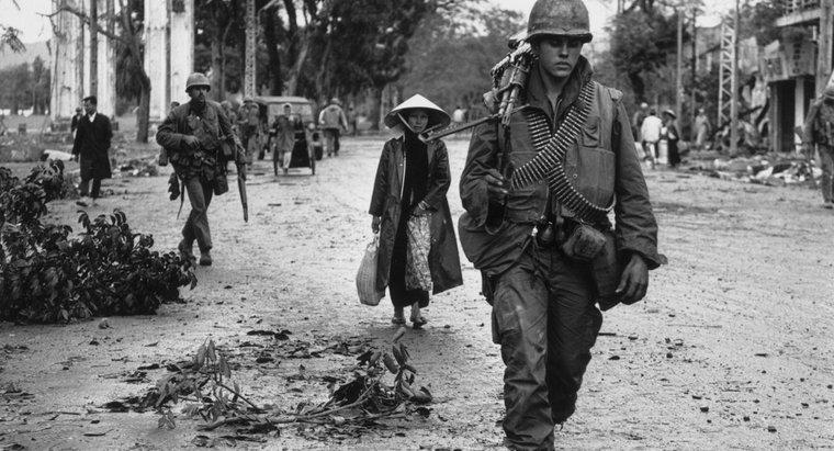 Care sunt cauzele războiului din Vietnam?