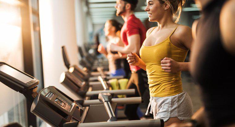 Care sunt taxele tipice pentru calitatea de membru la sala de fitness 19?