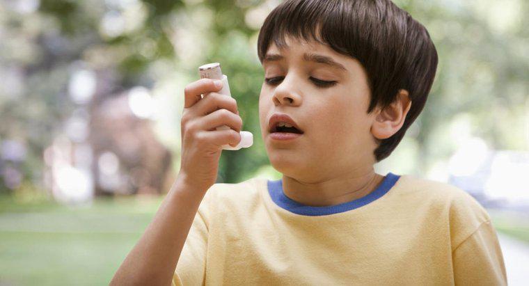 Cum este sistemul respirator afectat de astm?