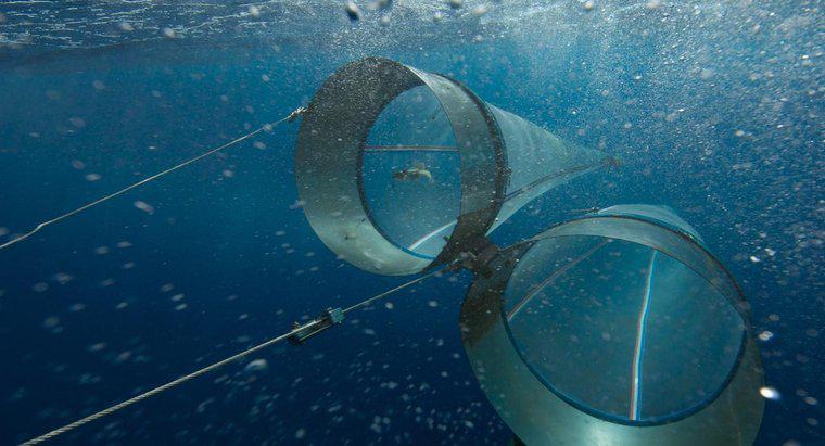 Pentru ce este folosit un plancton net?