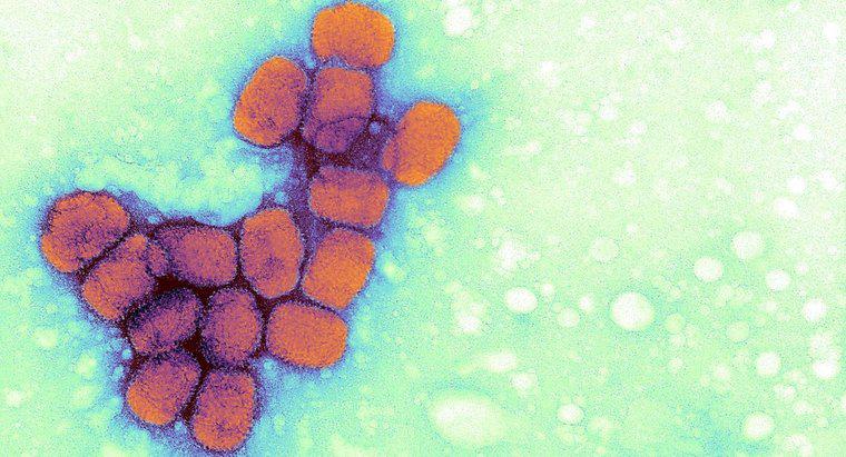 Care sunt efectele pe termen lung ale variolei?