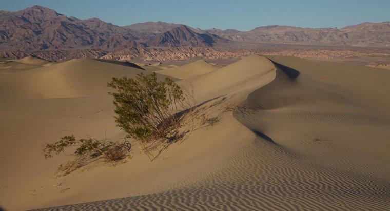 Care agent de eroziune creează dune de nisip?