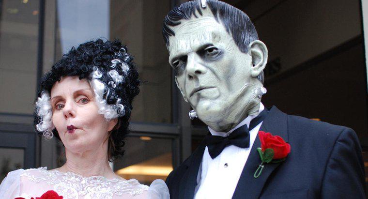 Care sunt câteva exemple de romantism în "Frankenstein"?