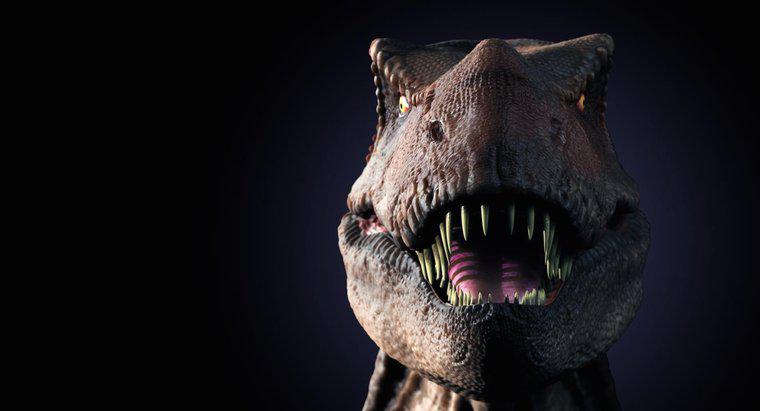 Care sunt unele fapte despre T. Rex pentru copii?