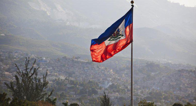 Care a fost cauza Cauzei Revoluției Haitiene?
