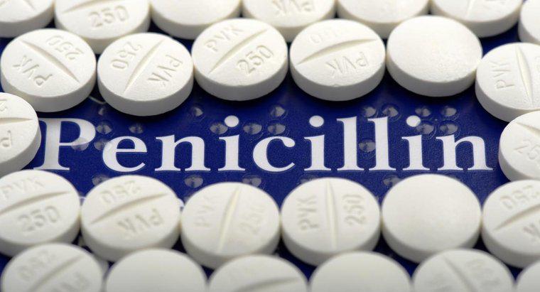 Ce face penicilina?