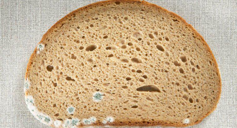 Care sunt pericolele de a manca pâine moldas?