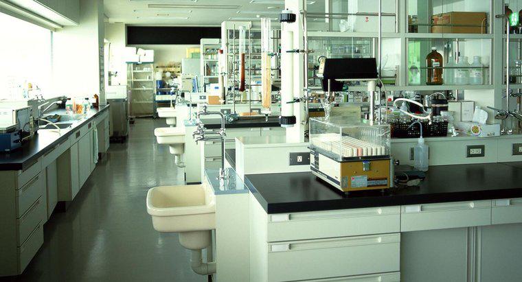 Ce este echipamentul de laborator pentru microbiologie și cum se utilizează?