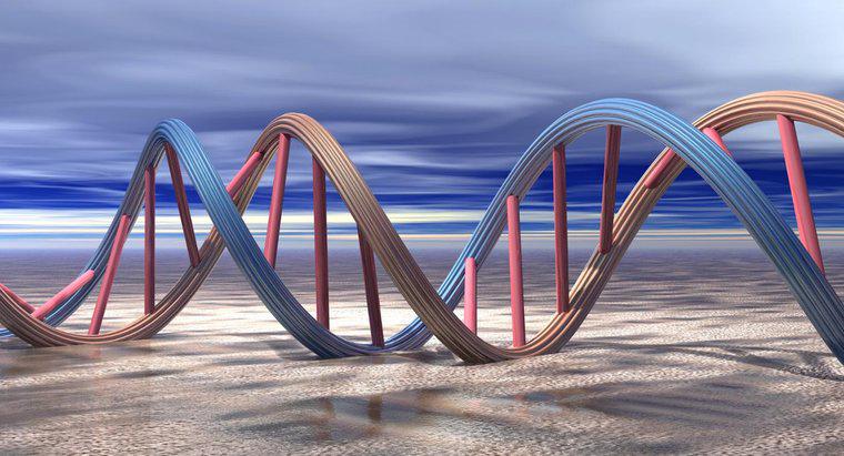 De ce are nevoie ADN-ul pentru replicare?