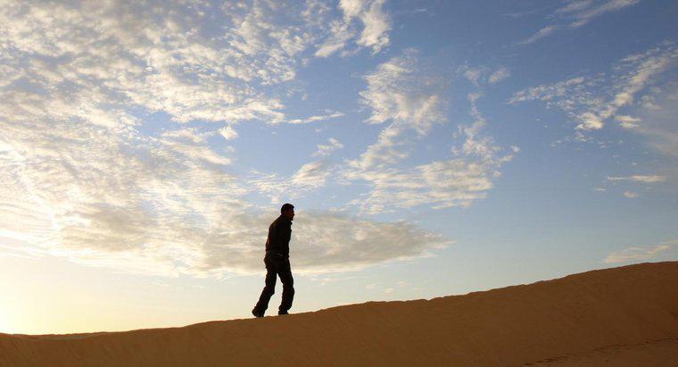 Care sunt cele mai bune sfaturi pentru a supraviețui în deșert?