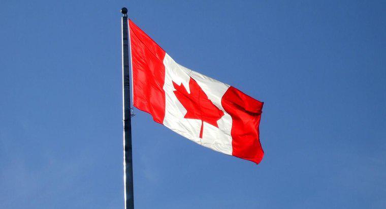 Ce importă Canada din alte țări?